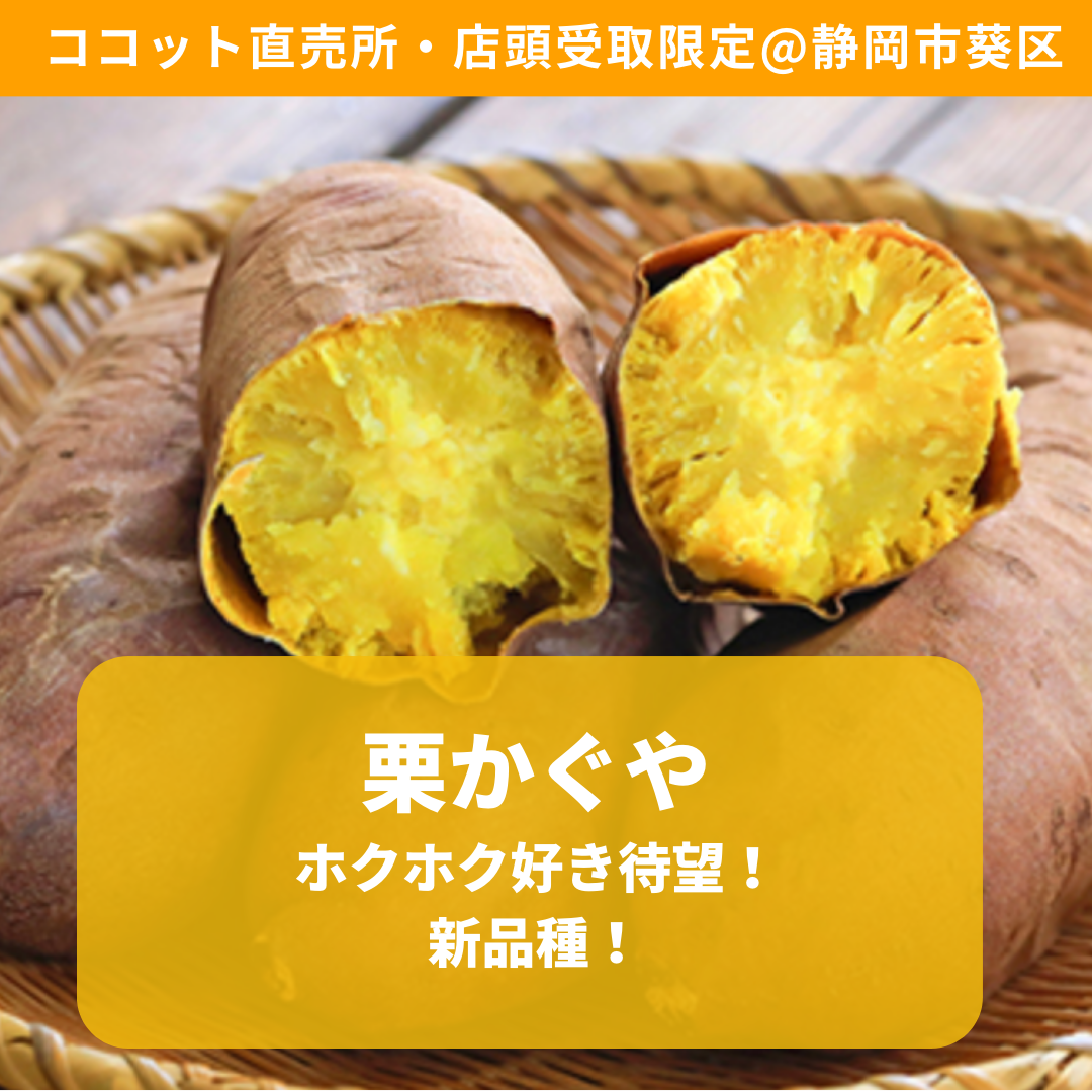 訳あり品】干し昆布・3kg 岩手県産 割れ昆 形不揃い 大容量 だし昆布